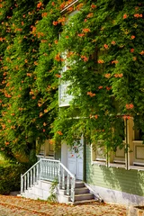 Photo sur Plexiglas moyen-Orient The house wreathed with Campsis creeper on the Street of the Col