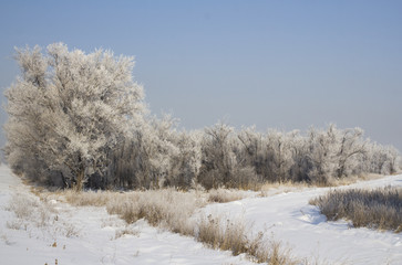 Obraz premium Road in the desert