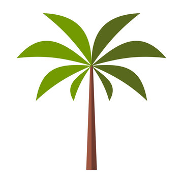 Palm tree flat icon