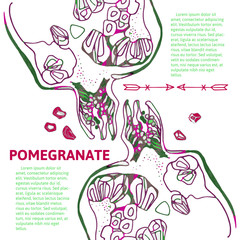 Pomegranate illustration for postcard, invitation or lable