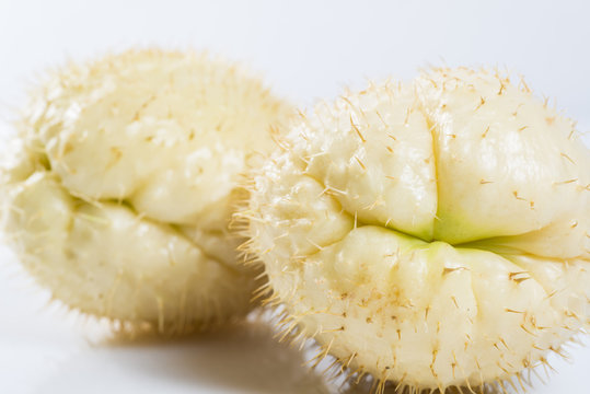 Chayote