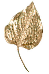 Christmas decorative golden leaves