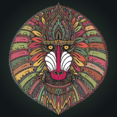 Hand drawn vector ornate baboon face illustration