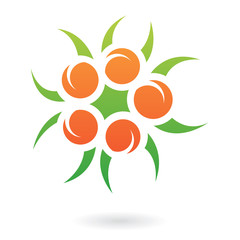 Apricots and Leaves Abstract Icon