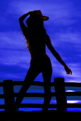 silhouette cowgirl hand on hait other down