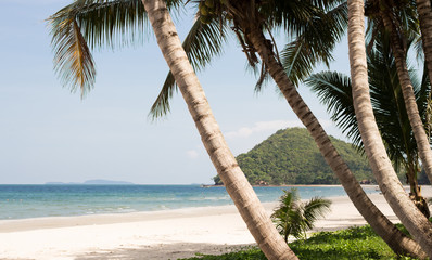 beach and tropical sea