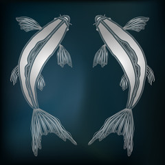 Silver fishes, zodiac Pisces sign