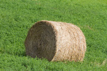 Hay Bale