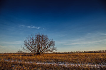 Landscape of field and road under the snow
