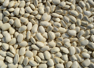 beans. many white beans