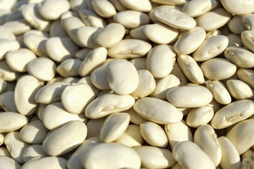 beans. many white beans