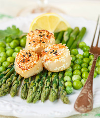 A delicious dinner of roasted scallops, asparagus and green peas
