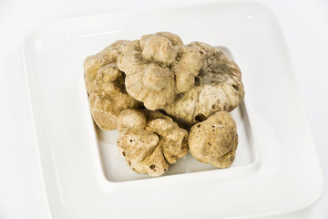 Many white truffles from Piedmont on ceramic plate