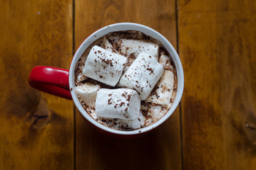 cup of hot chocolate with cinnamon and marshmallows