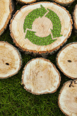 Tree stumps on the grass with recycle symbol