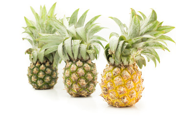 pineapple with slices  on white