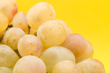 grapes on a yellow background