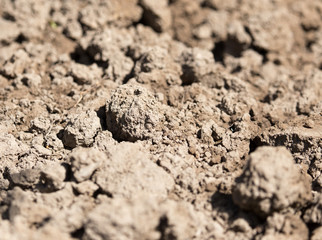 background soil