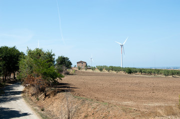 Fototapeta premium Eco windmills among olive trees in the countryside