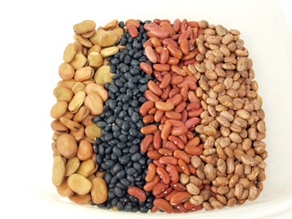 dried beans variety