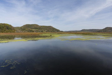 Mississippi River Backwaters Scenic