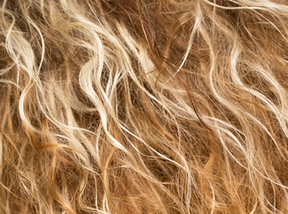 background blond wavy hair