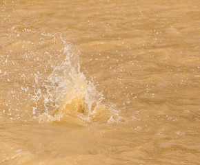 background waves dirty water