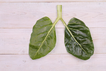 Stop smoking, anti smoking, lung cancer. Environmental awareness, ecology,  air pollution solutions concept background