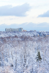 city houses and frozen woods in winter
