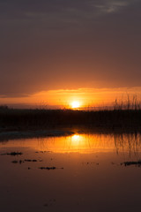 Obraz premium beautiful sunrise of the sun on the lake