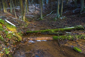 Landscape of late autumnal forest with first snow and small stream