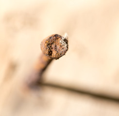 Rusted iron spike on wood macro close up
