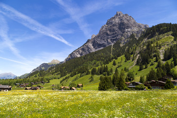 Fototapeta na wymiar Panorama view of the Alps and Bluemlisalp on the hiking path near Kandersteg, Switzerland