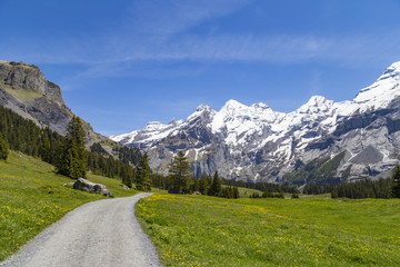 Obraz premium Amazing view of Swiss Alps and meadows near Oeschinensee Lake in Switzerland
