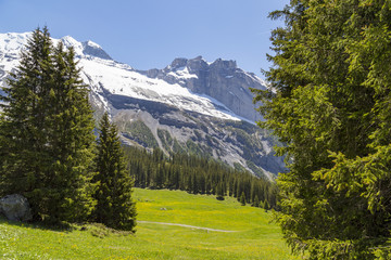 Amazing view of Swiss Alps and meadows near Oeschinensee Lake in Switzerland