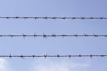 Barbed wire used to block restricted areas a backdrop of blue sky.