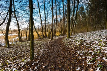 Landscape of late autumnal forest with first snow