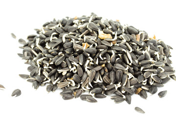 Sprouted grains in  isolated on white