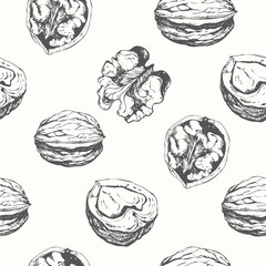 Hand-drawn sketch of walnuts. Seamless nature background. 