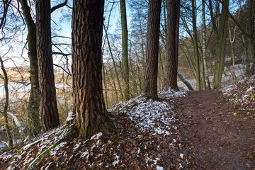 Landscape of late autumnal forest with first snow