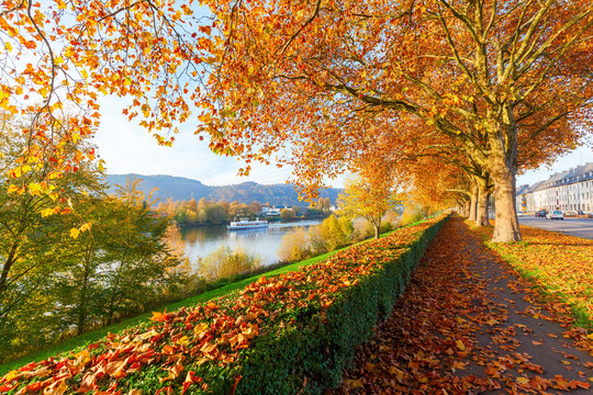 herbstliche Parklandschaft an der Mosel in Trier, Deutschland