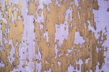 Closeup of purple flaking paint on boards
