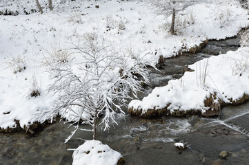 雪の柳沢川