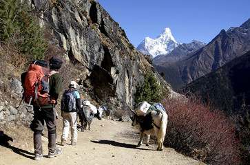 Sherpa and his client trekking in Everest region, Nepal