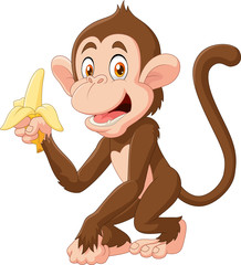 Obraz premium Cartoon funny monkey holding banana isolated on white background