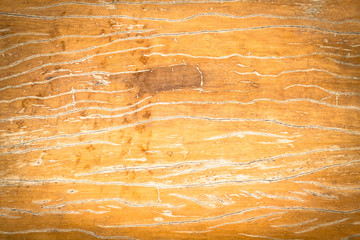 brown color nature pattern detail of teak wood decorative furnit
