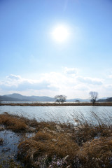 Obraz premium 두물머리 설경이미지