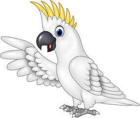 Obraz premium Cartoon funny white parrot presenting isolated on white background