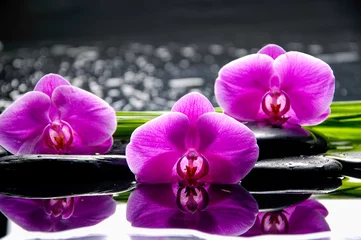 Keuken spatwand met foto Spastilleven met bloeiende tak van de rode orchidee © Mee Ting