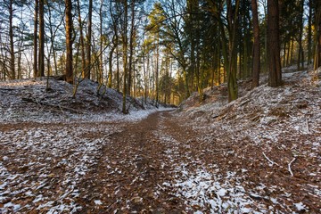 Landscape of late autumnal forest with first snow